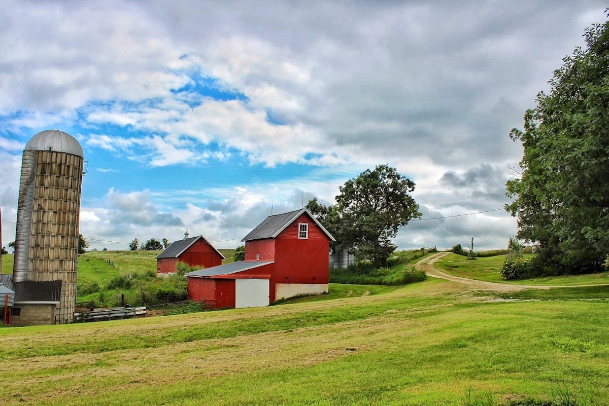 Trout River Log Cabin