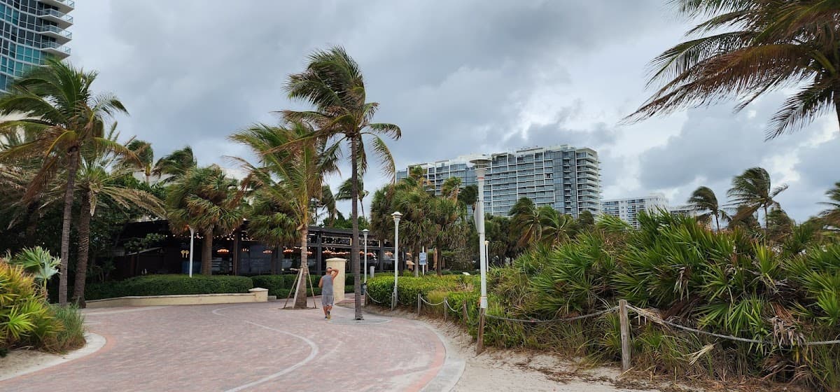 The Brooklyn South Beach