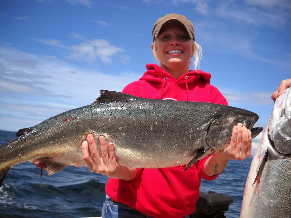 Kingfisher Charters