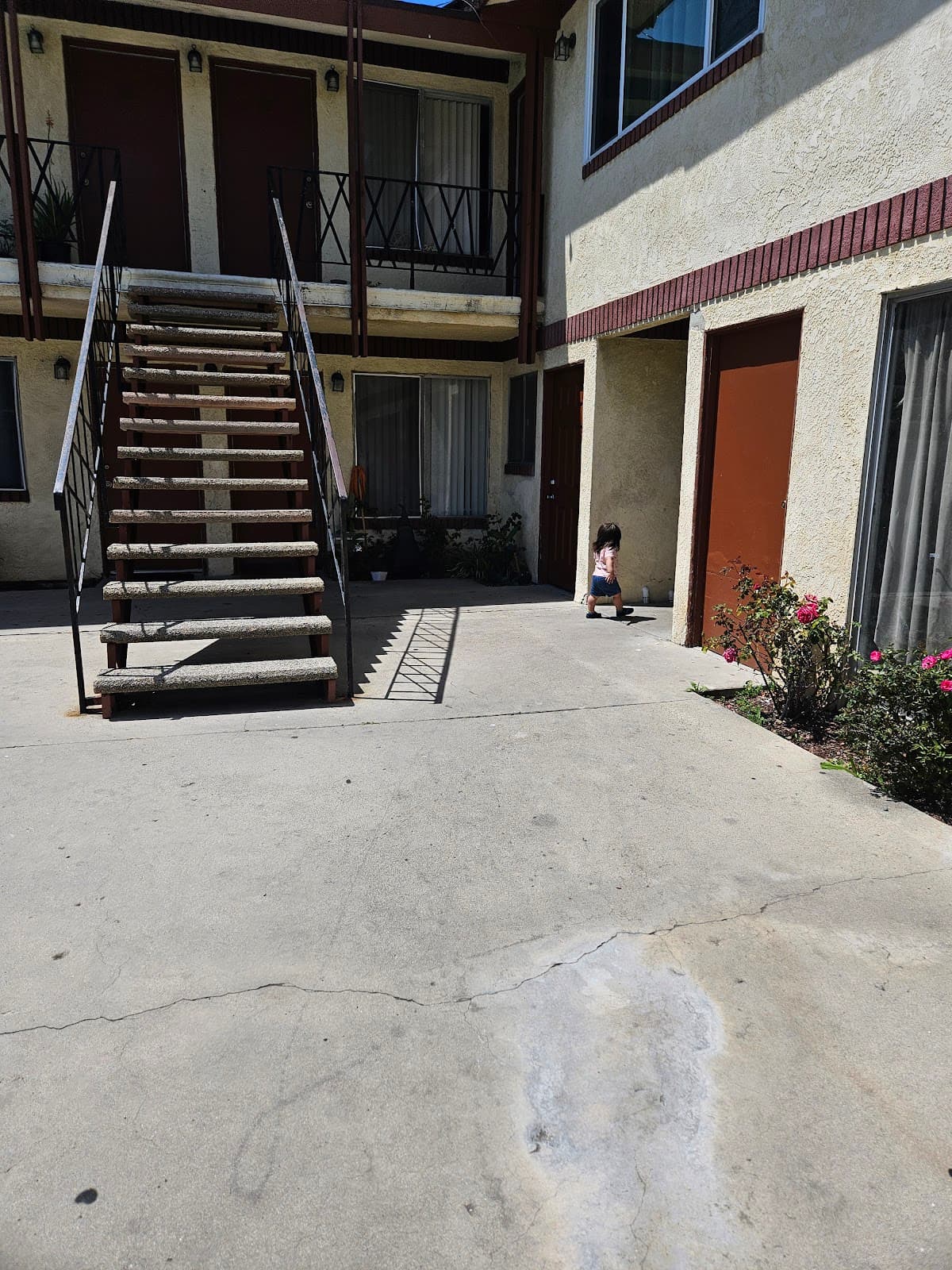 La Habra Palms