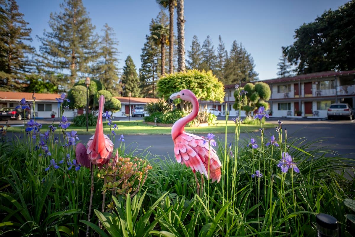 The Palo Alto Inn