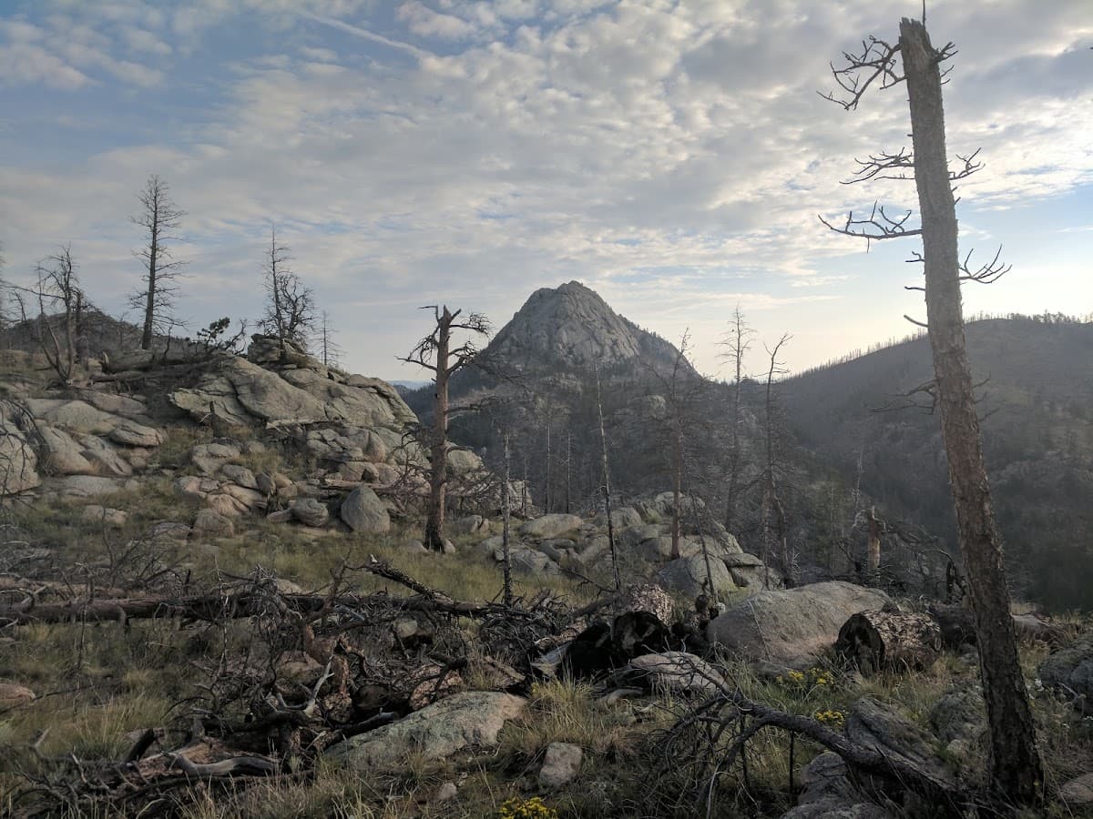 Greyrock Meadow