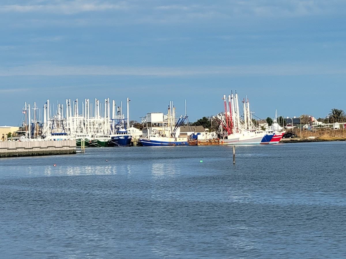 Cape May Harbor