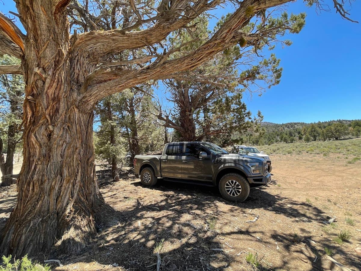 Broom Flat
