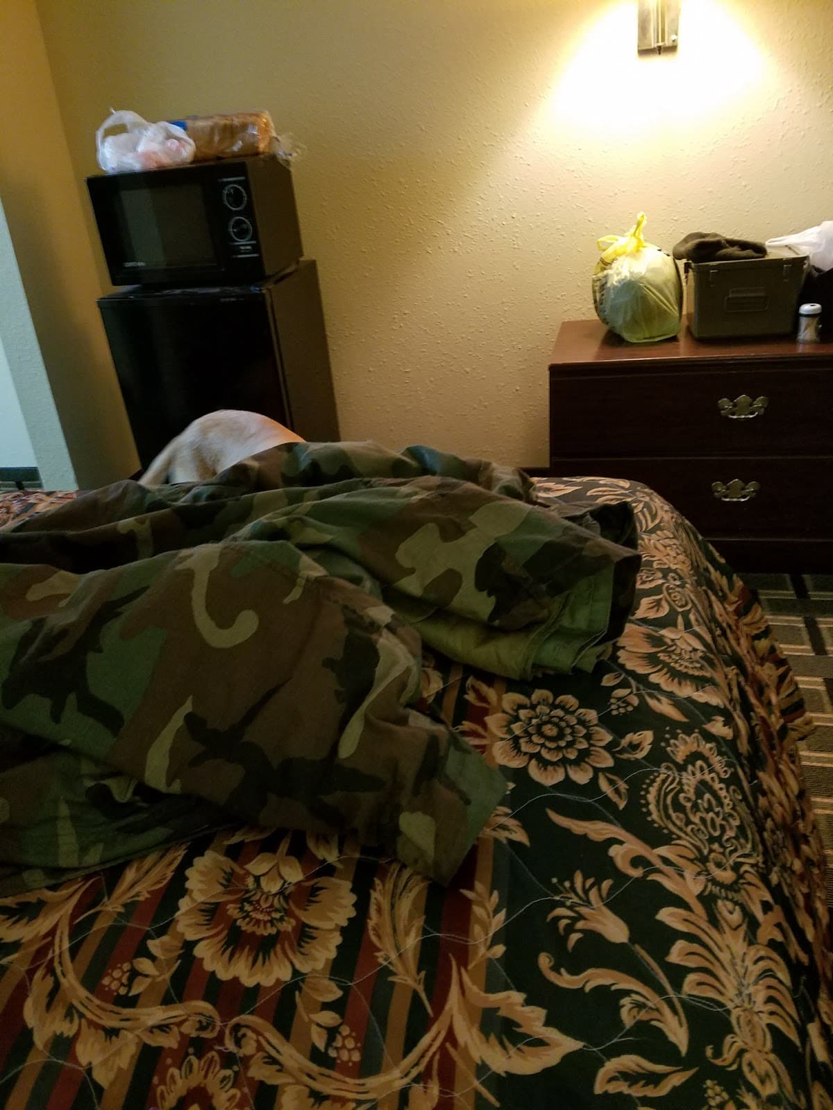 Executive Inn & Suites