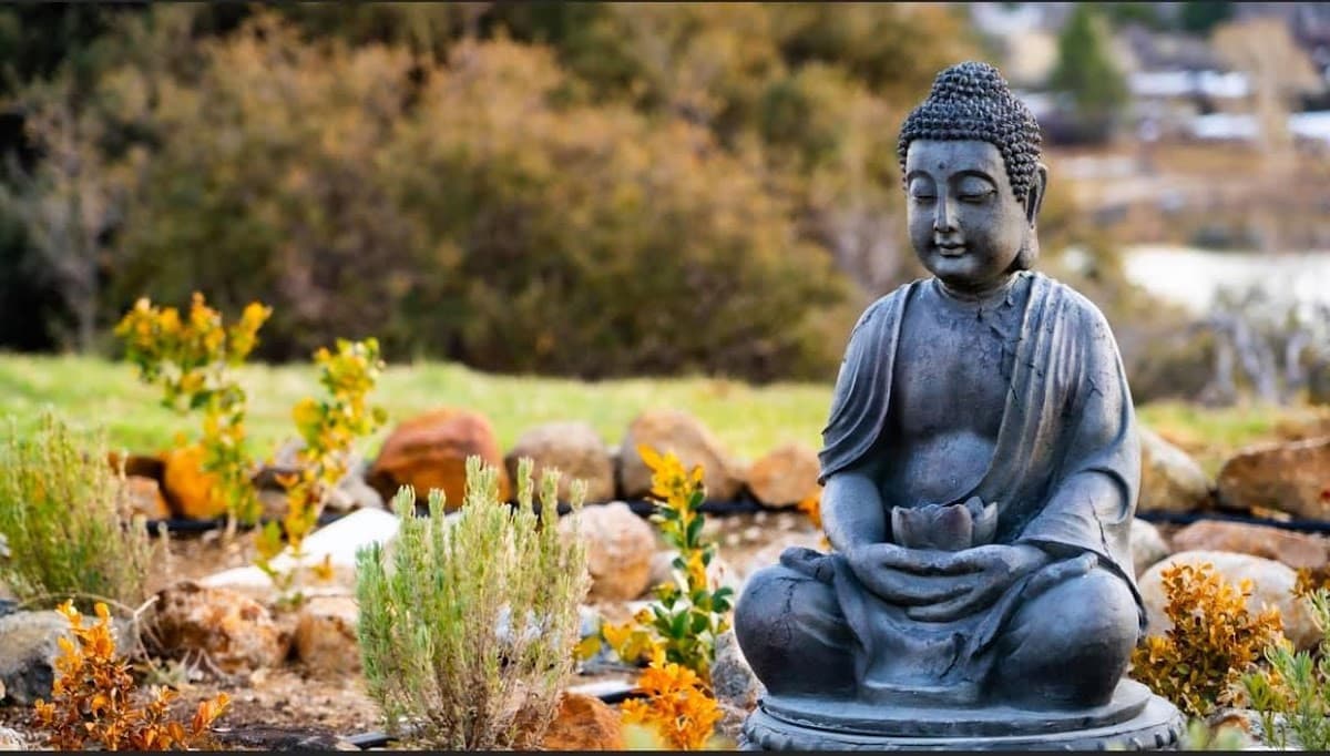 Quiet Mind Mountain Lodge, Retreat & Spa