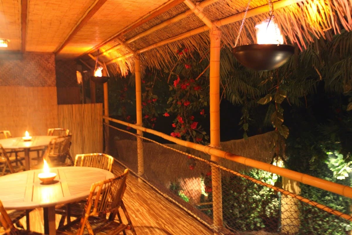 The Jungle ReTreat Ice Cream