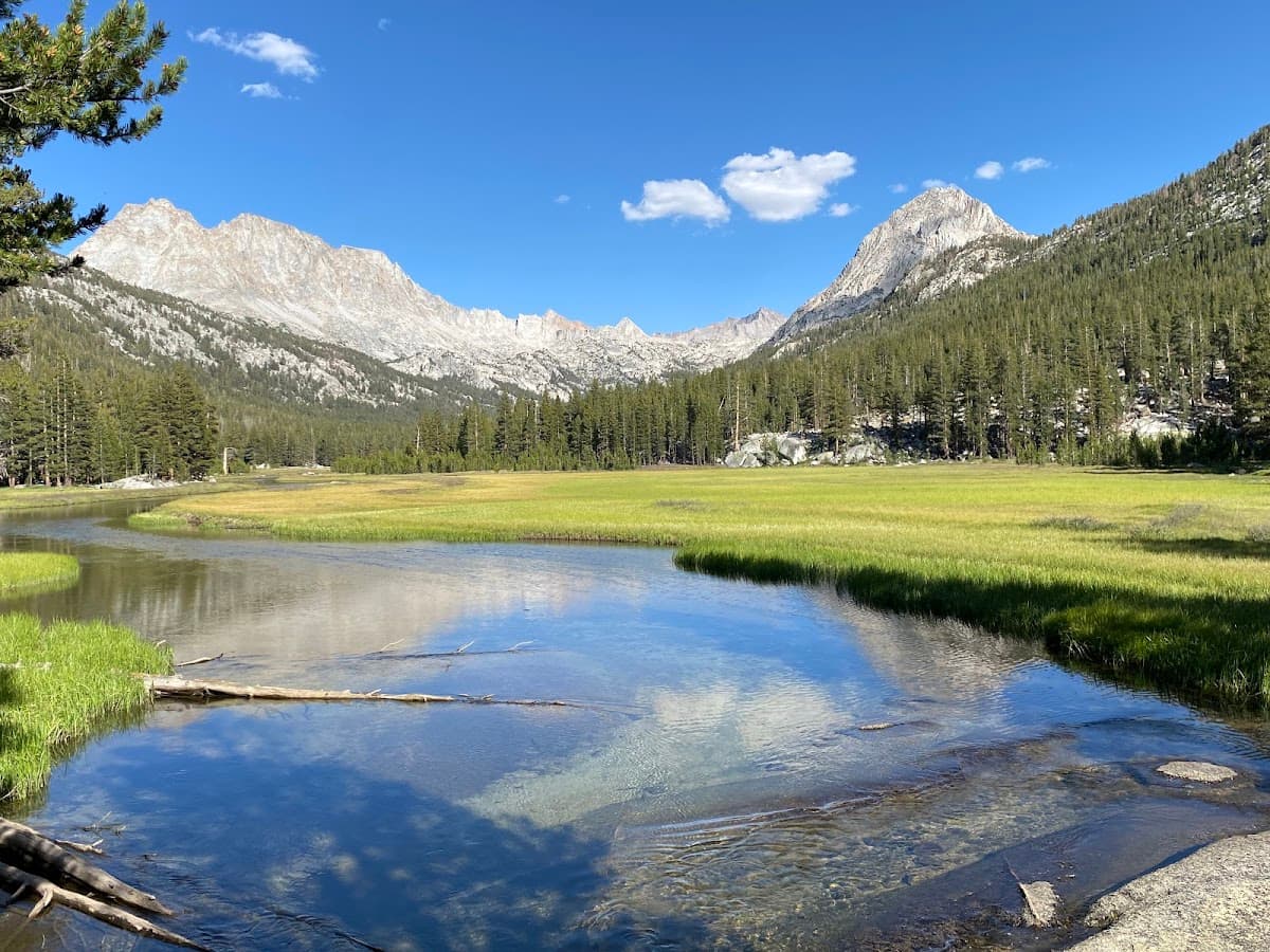 McClure Meadow