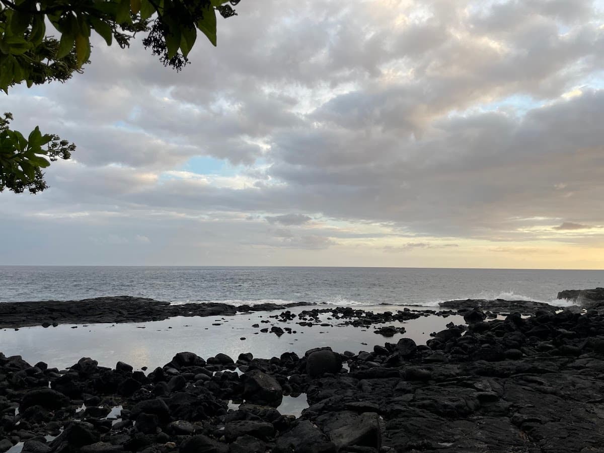 Wander Kona Bay
