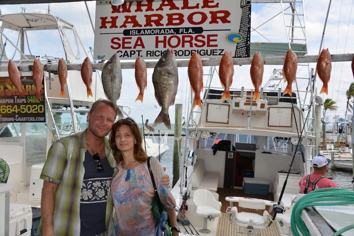 Whale Harbor