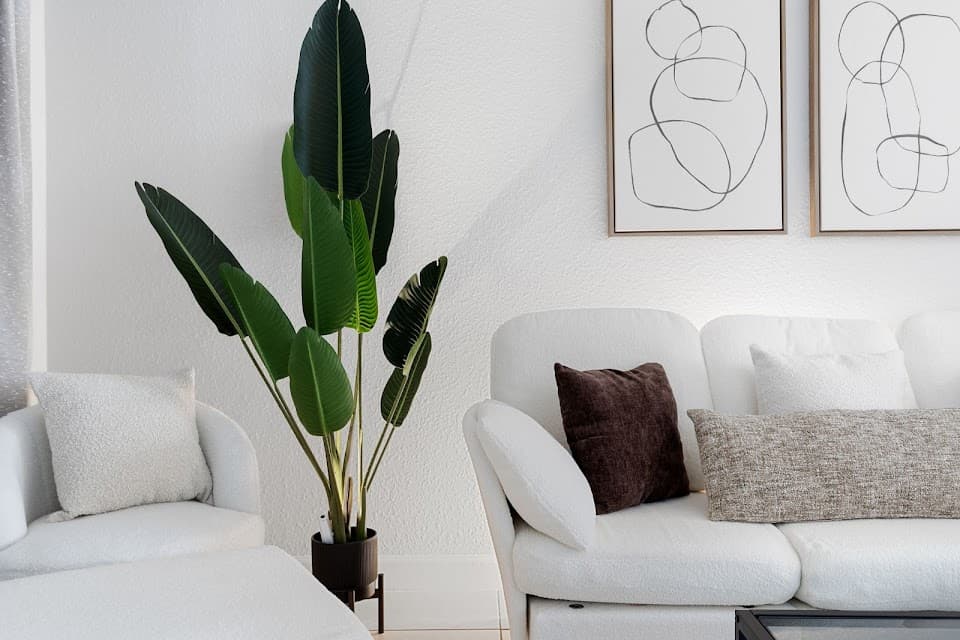 BC Tampa Properties