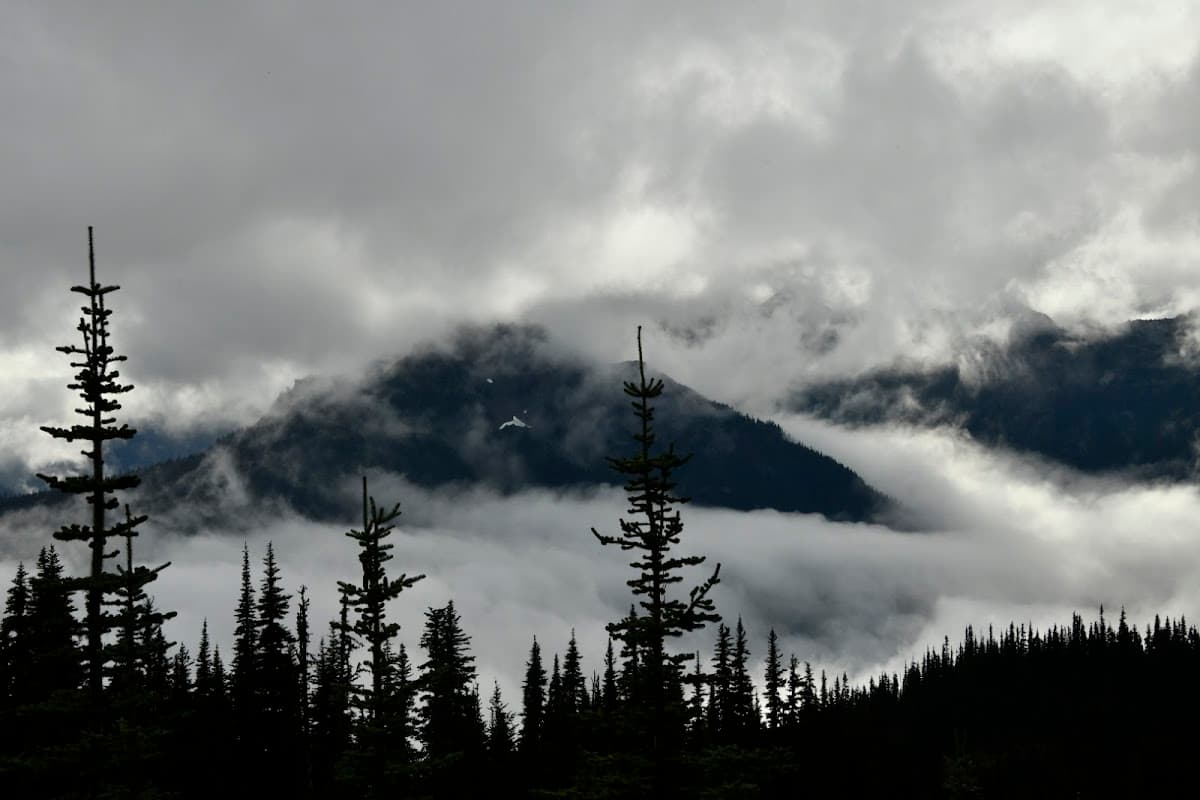 Sunnybrook Meadows