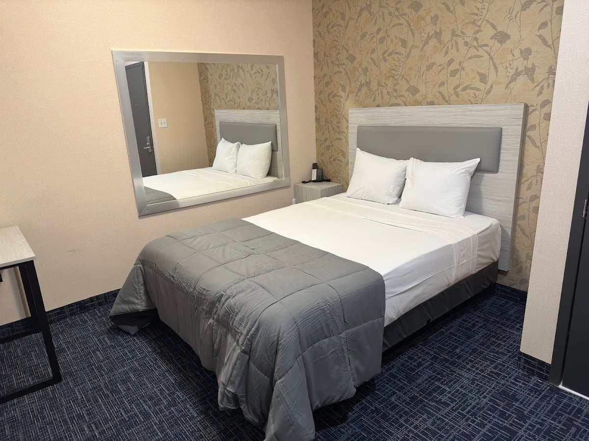 Willis suites