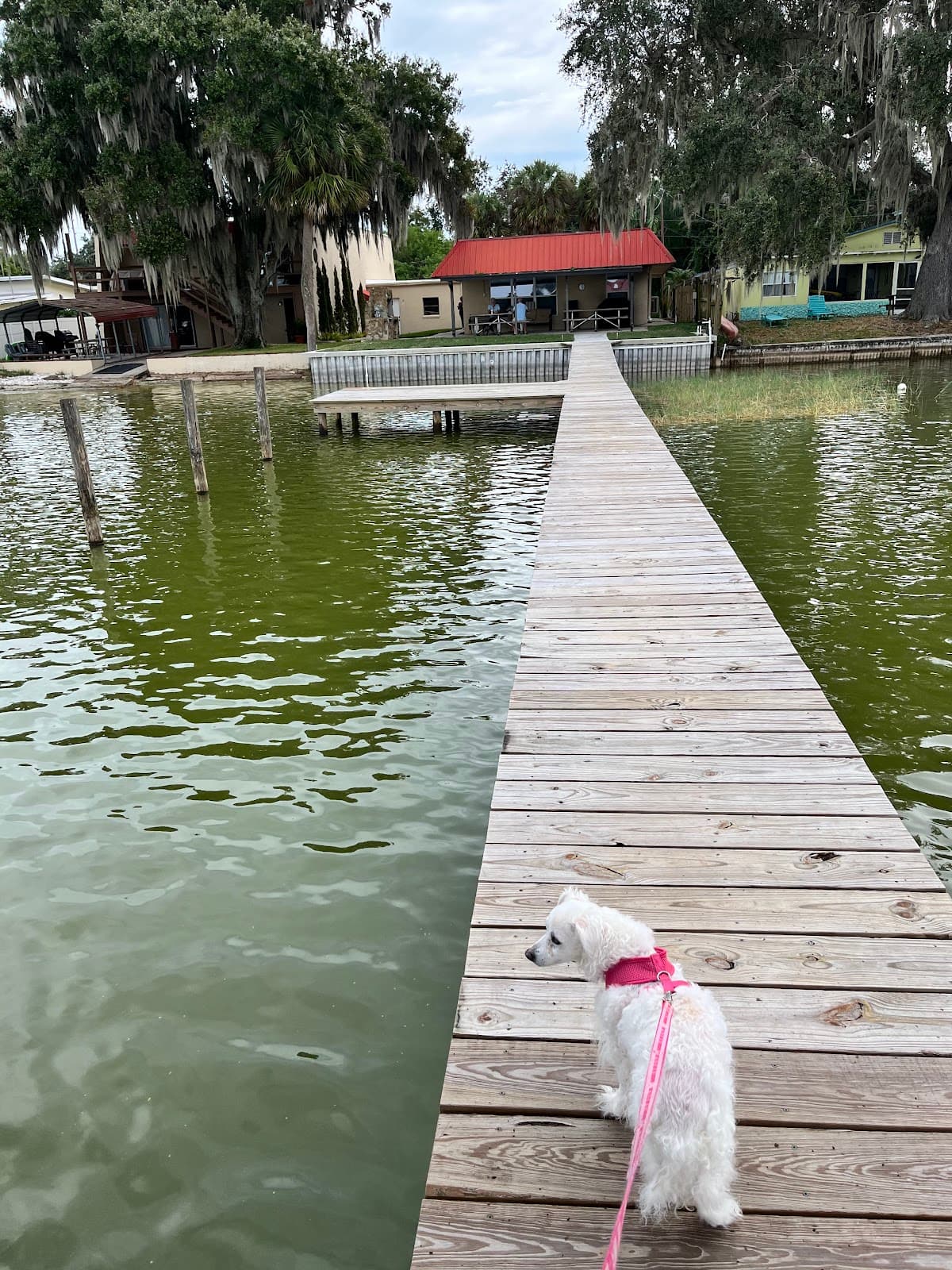 Dale's Lakeside Resort