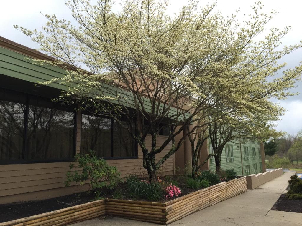 Holiday Lodge Hotel & Conference Center