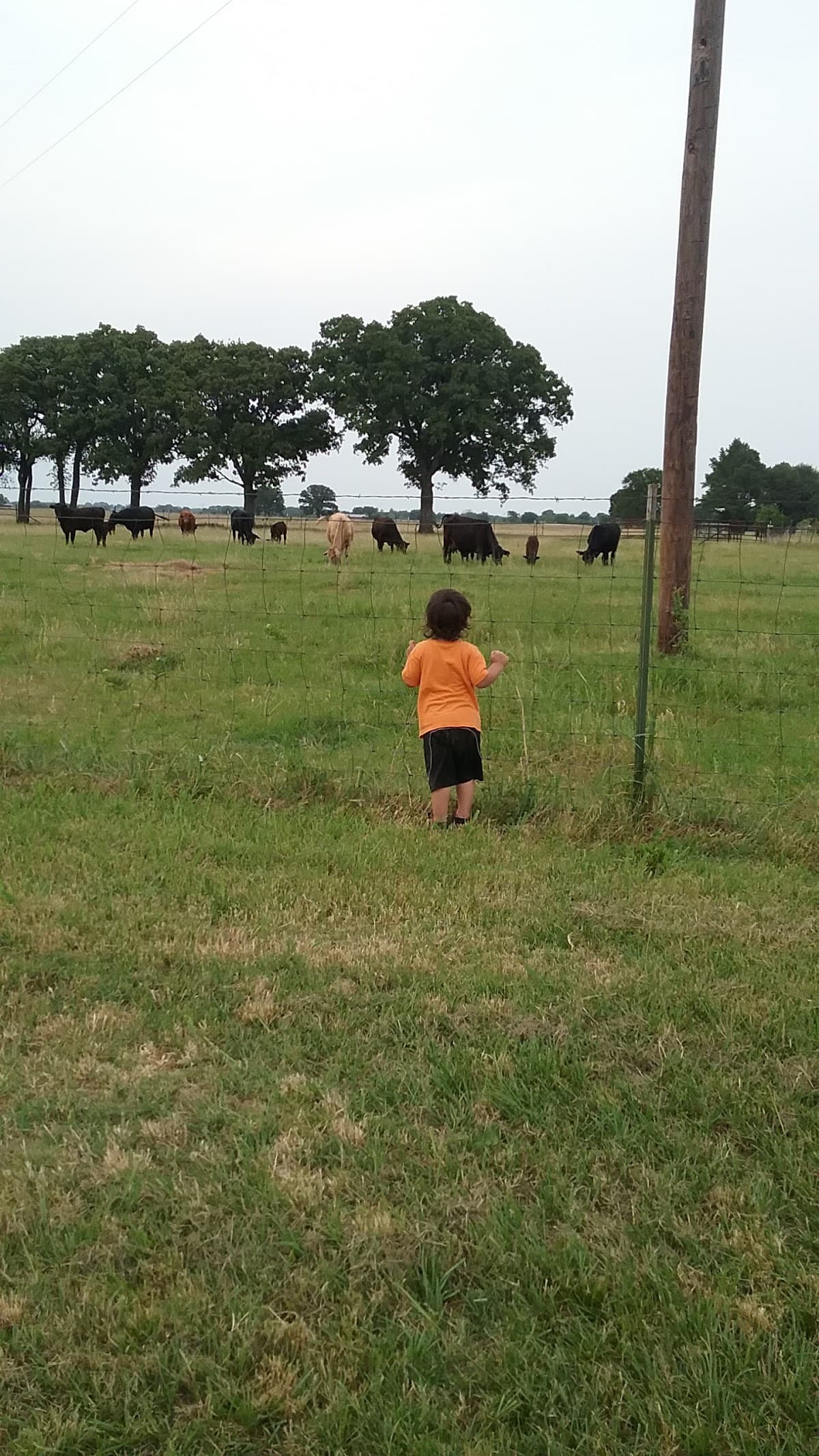 Gleaning Meadows