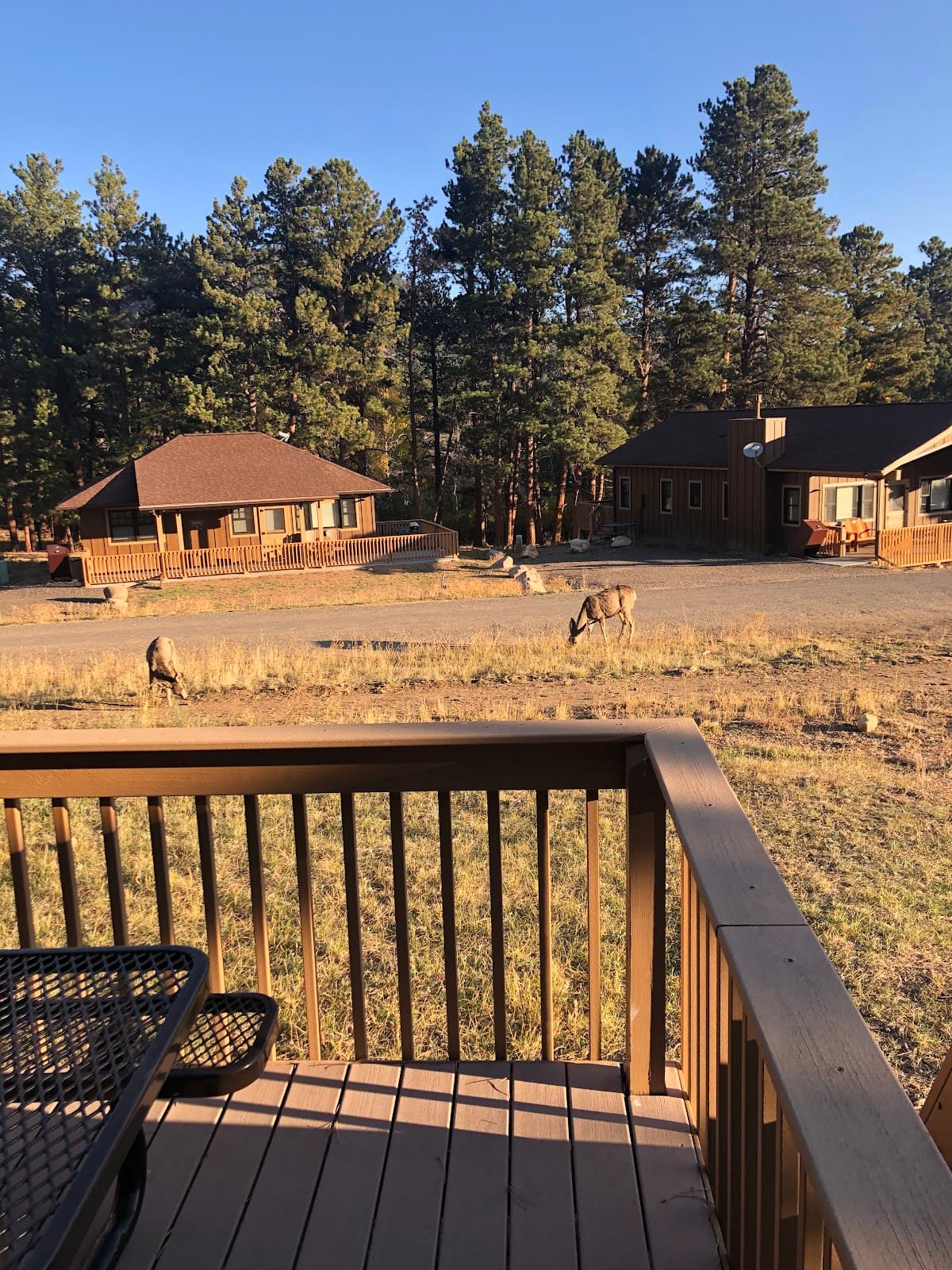 Cedar Cabin YMCA