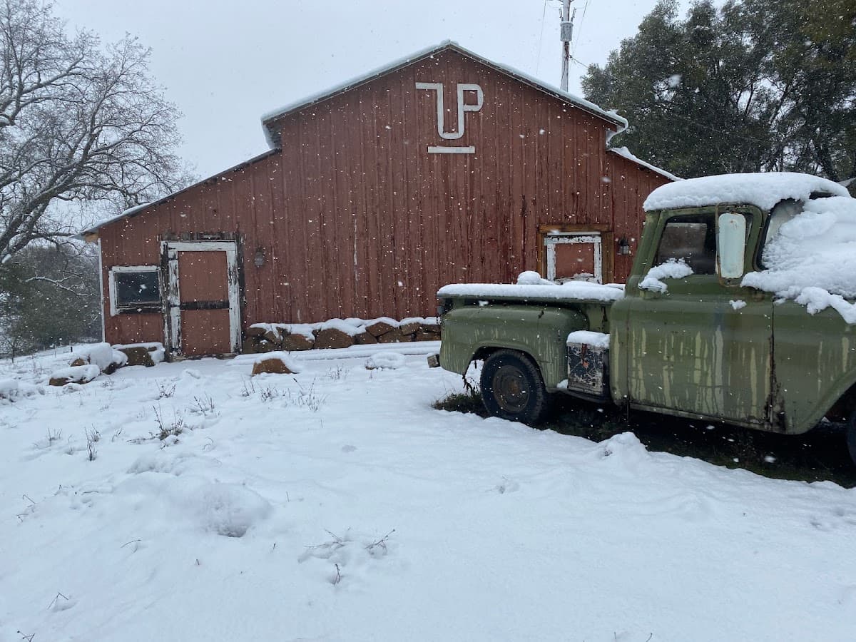 Trento Family 7-Up Ranch