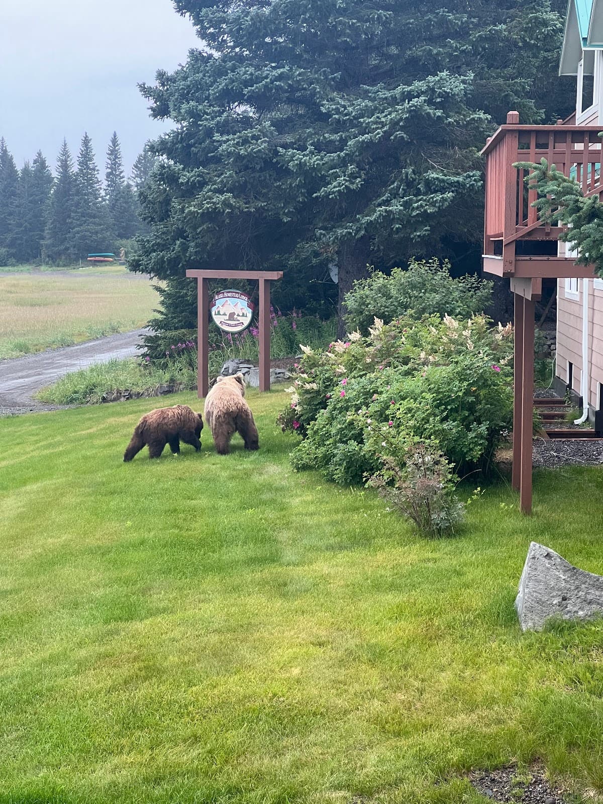 Alaska Homestead Lodge
