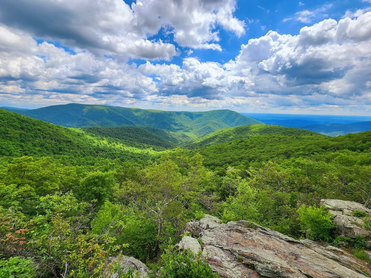 Bearfence Mountain