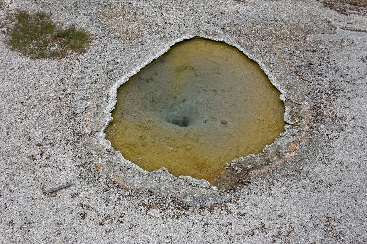 Topsoil Spring