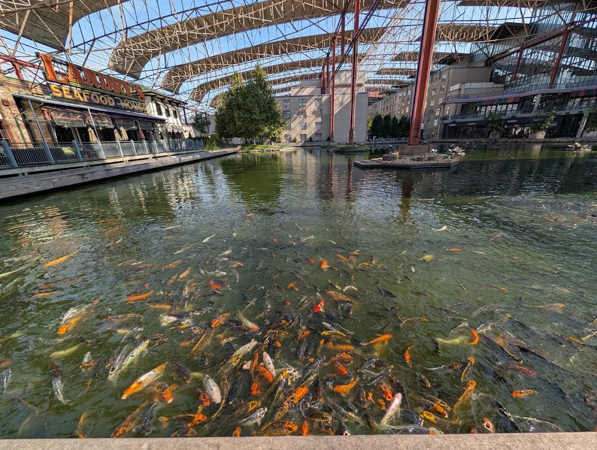 Grand ballroom dock