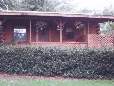 Aunt Jan's Cozy Cabin B&B