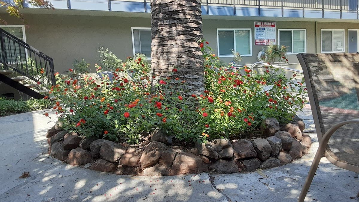 Palm Court Apartments