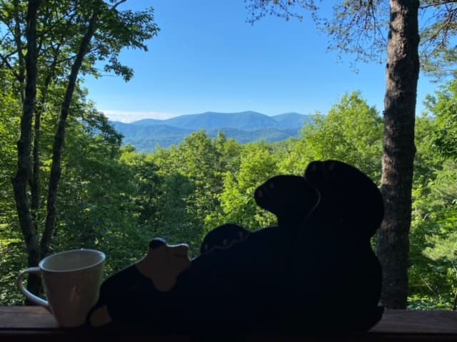 Lazy Bear Lodge