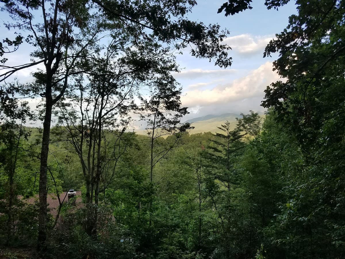 Bear Heaven Cabin