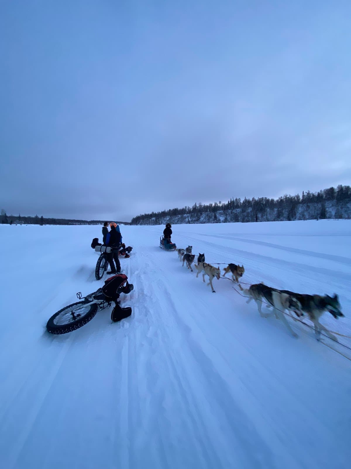 Iditarod Trailside Lodgings