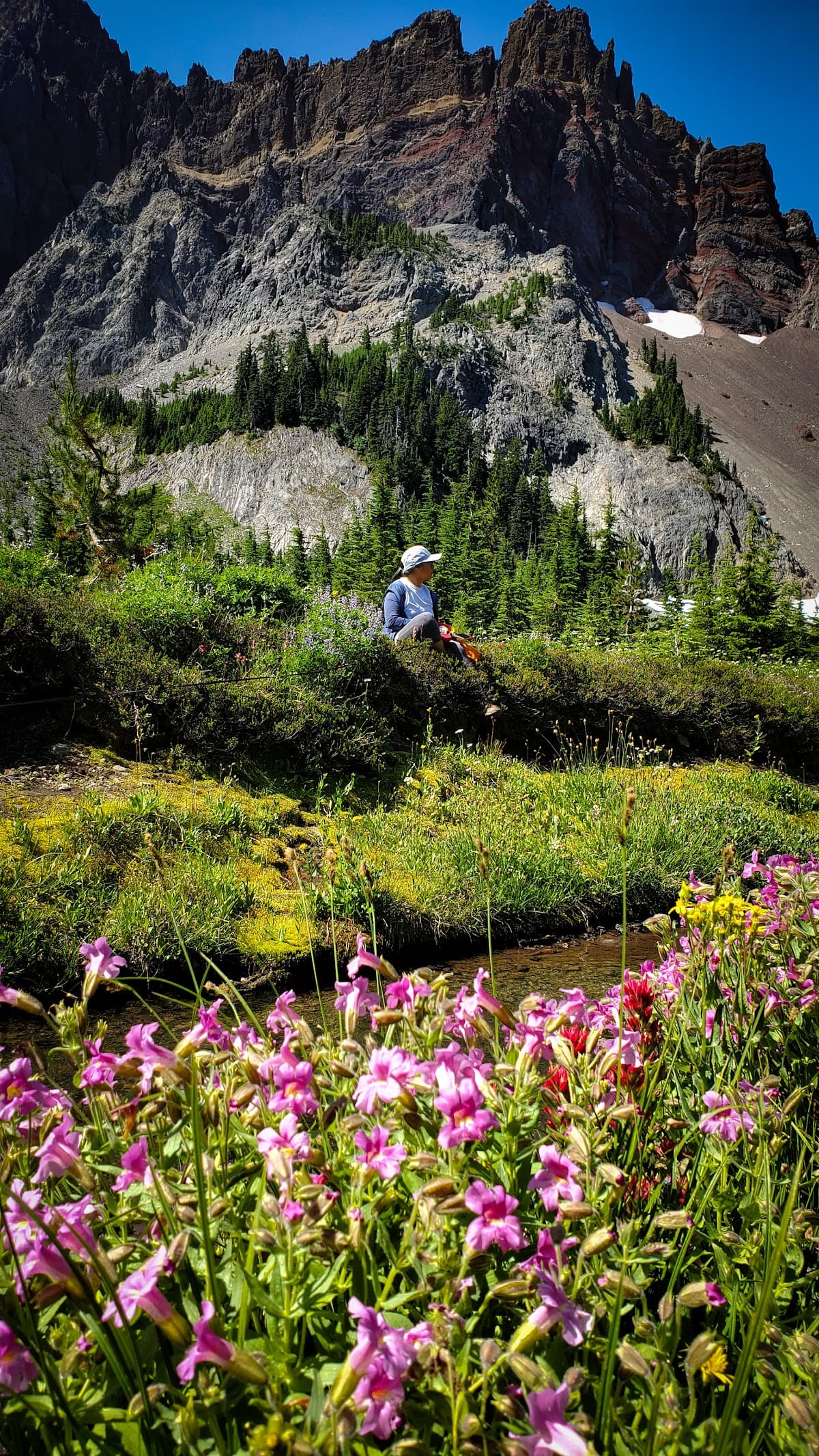 Canyon Creek Meadows