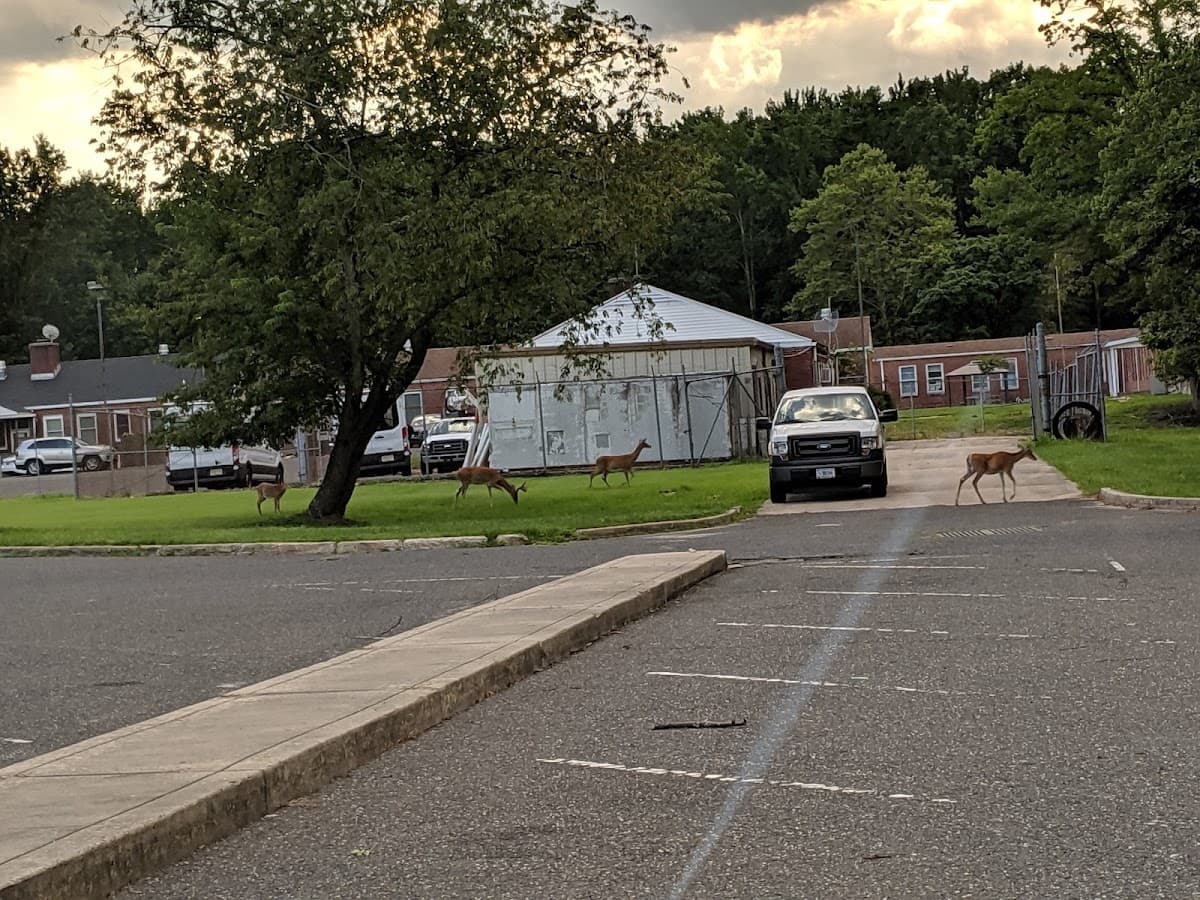 Deer Run Lodging/RV Park