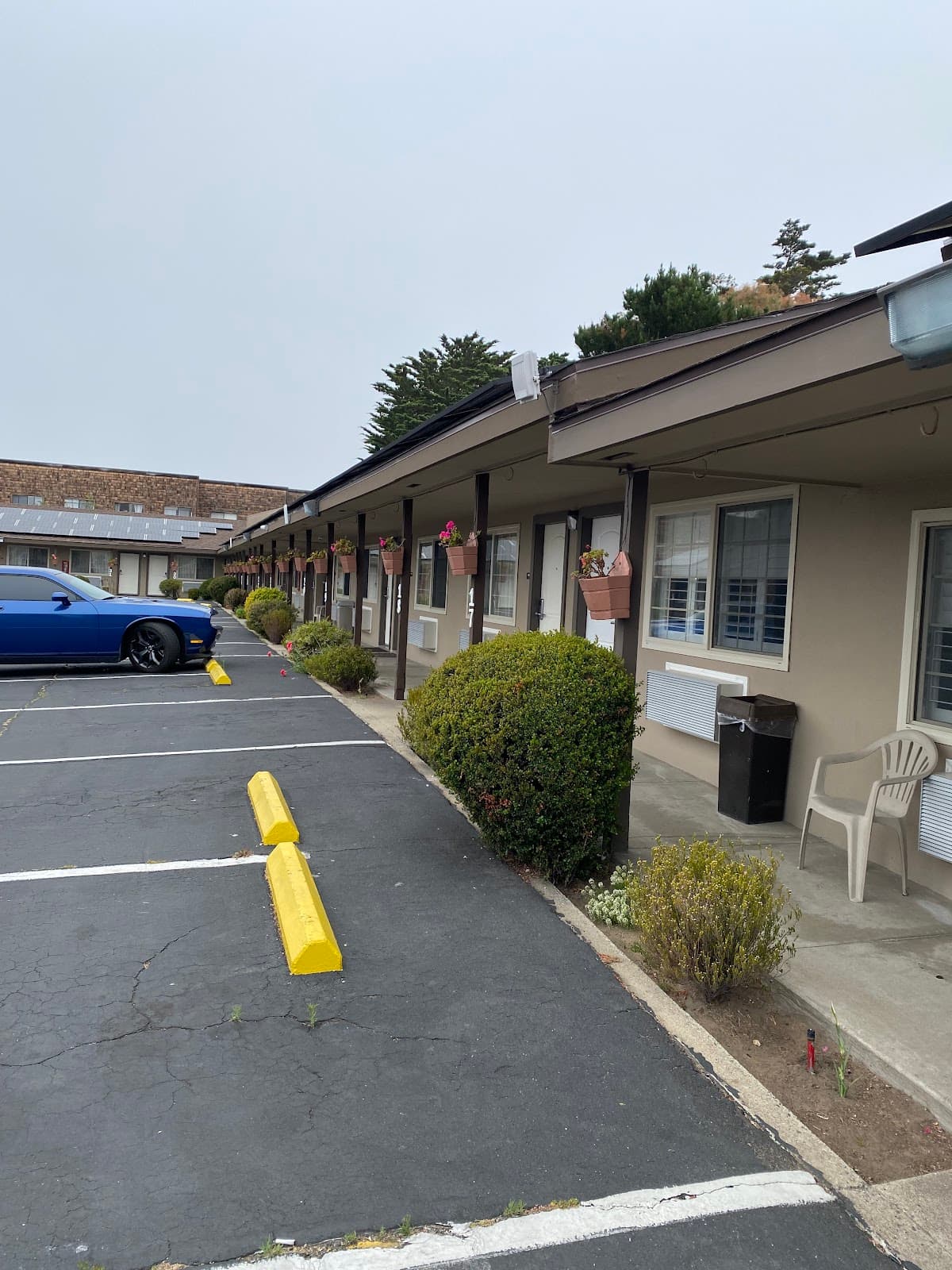 Lone Oak Lodge