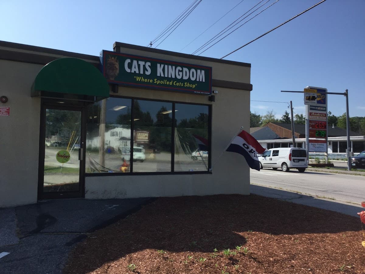 Cats Kingdom