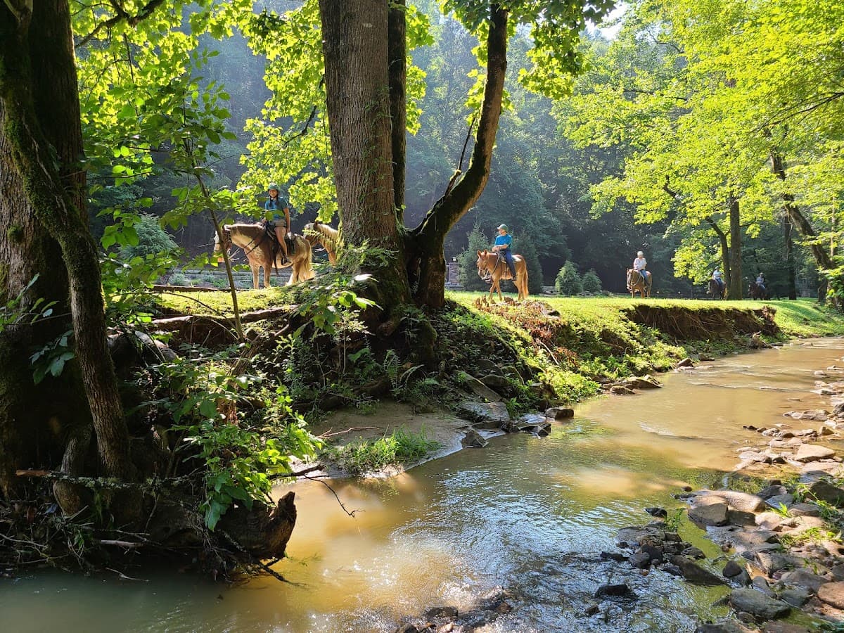 Mulberry Creek