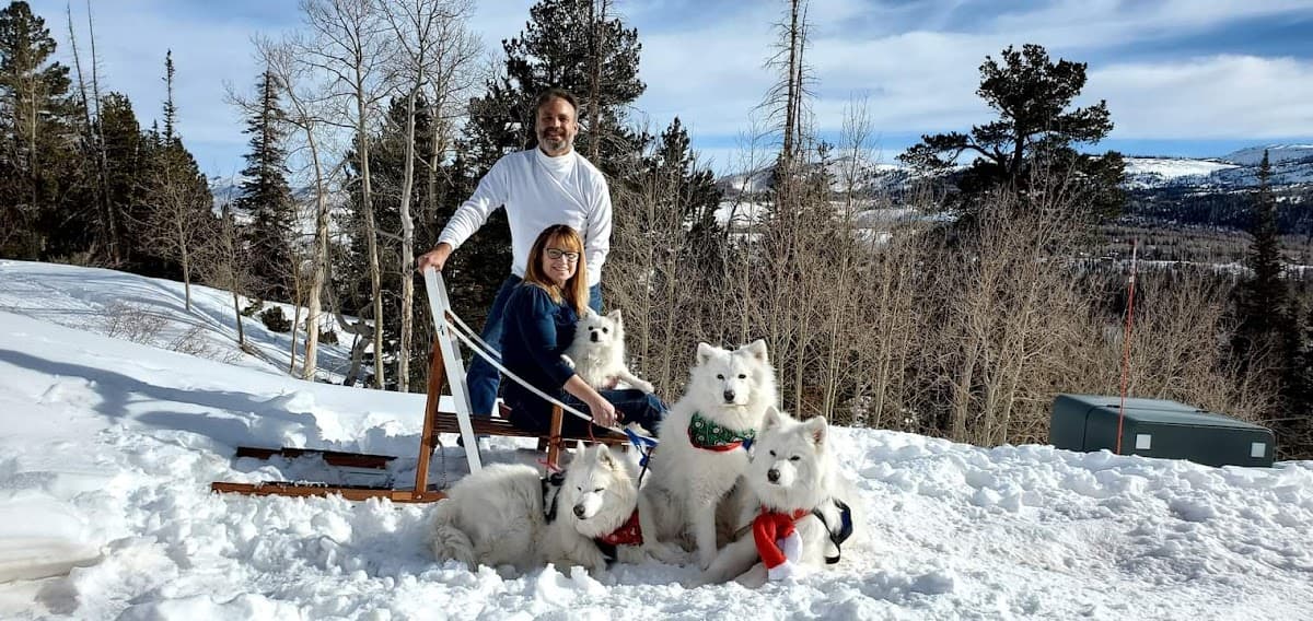 Samoyed Cabin