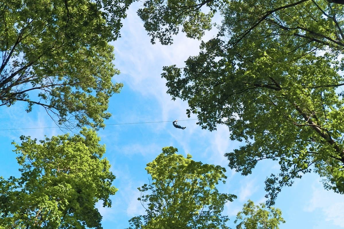 Grafton Zipline at Aerie's Resort