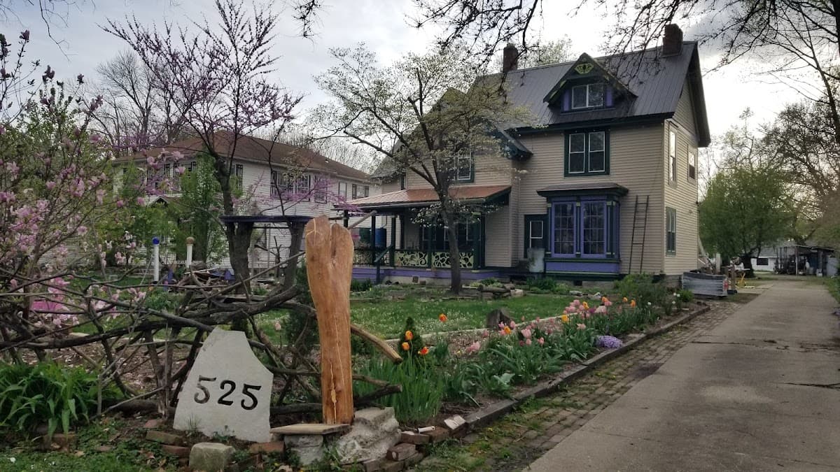 The Tranquil Dragonfly