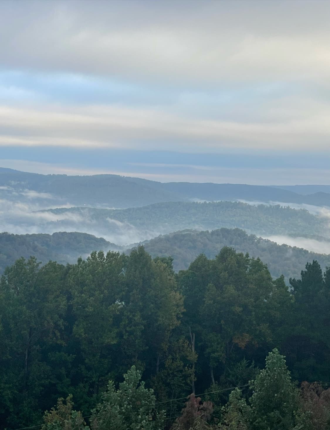 Scenic View Log Cabins Rentals