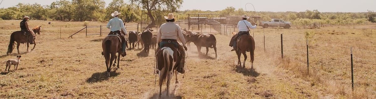 Lazy F Guest Ranch - Trail Ride Texas