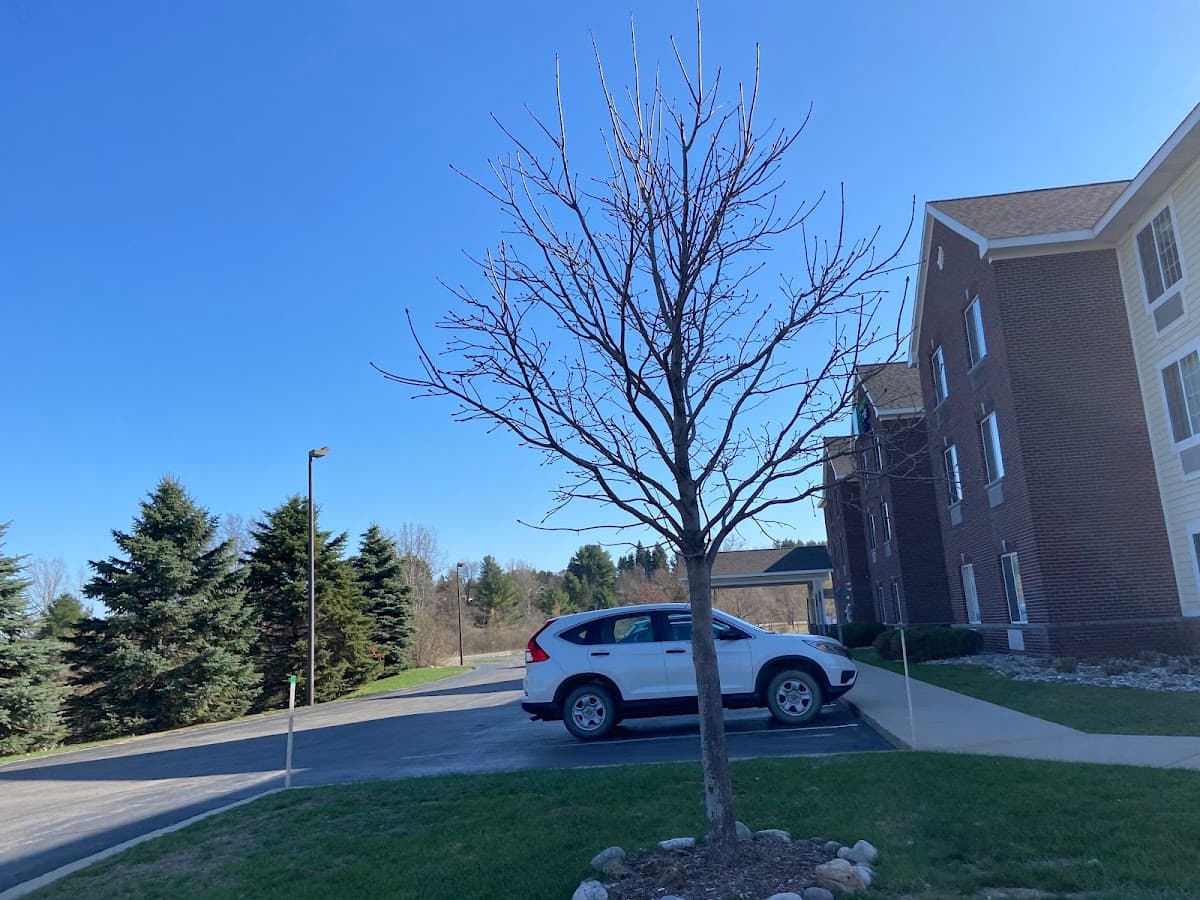 Holiday Inn Express & Suites Acme-Traverse City
