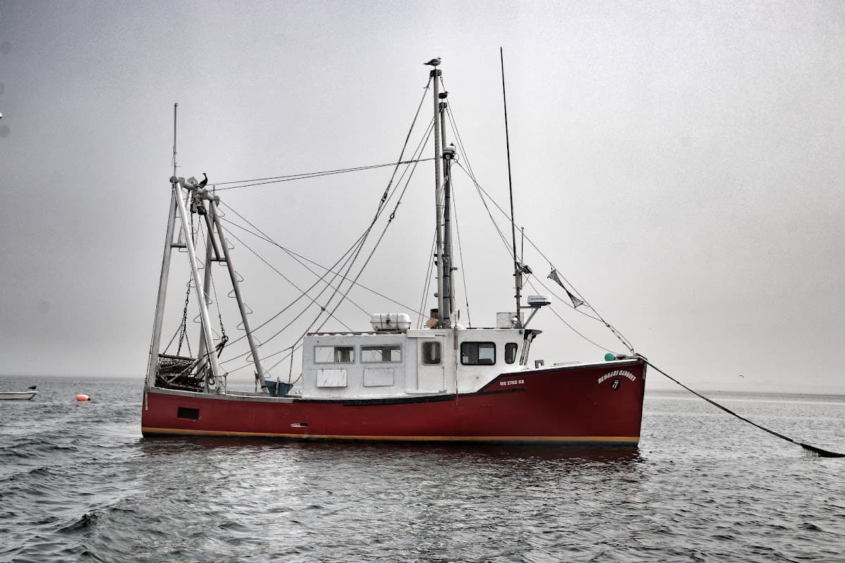 Chatham Harbor