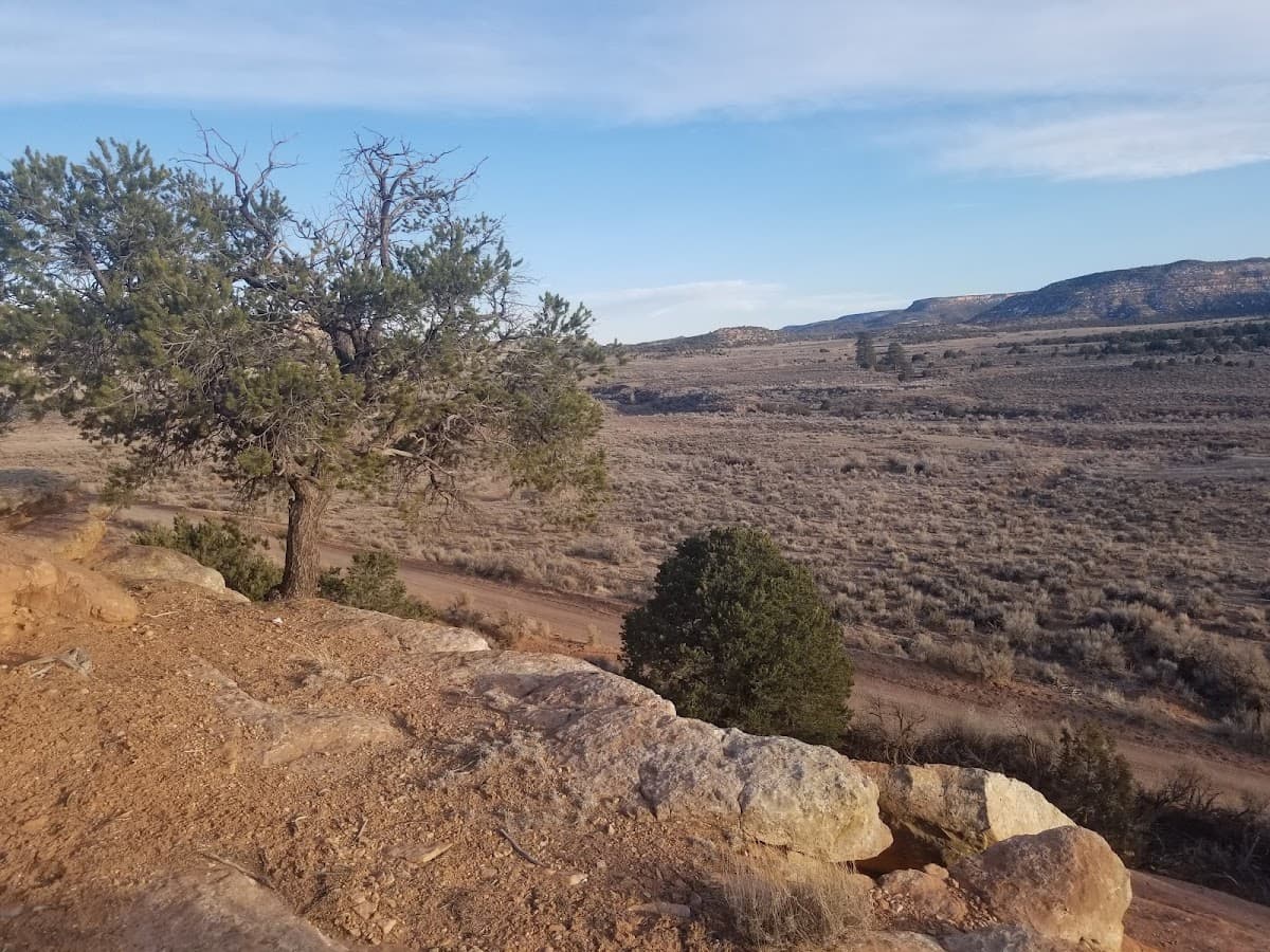 Cactus Park