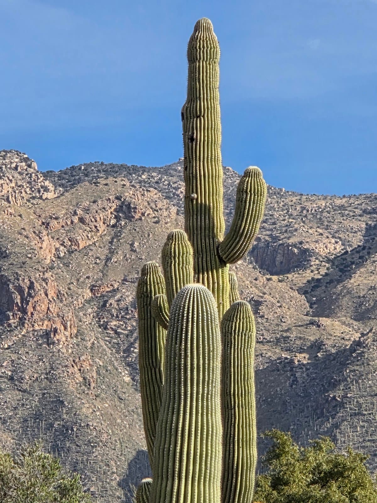 Skyline Springs #132