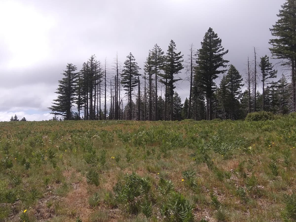 Wildhorse Prairie