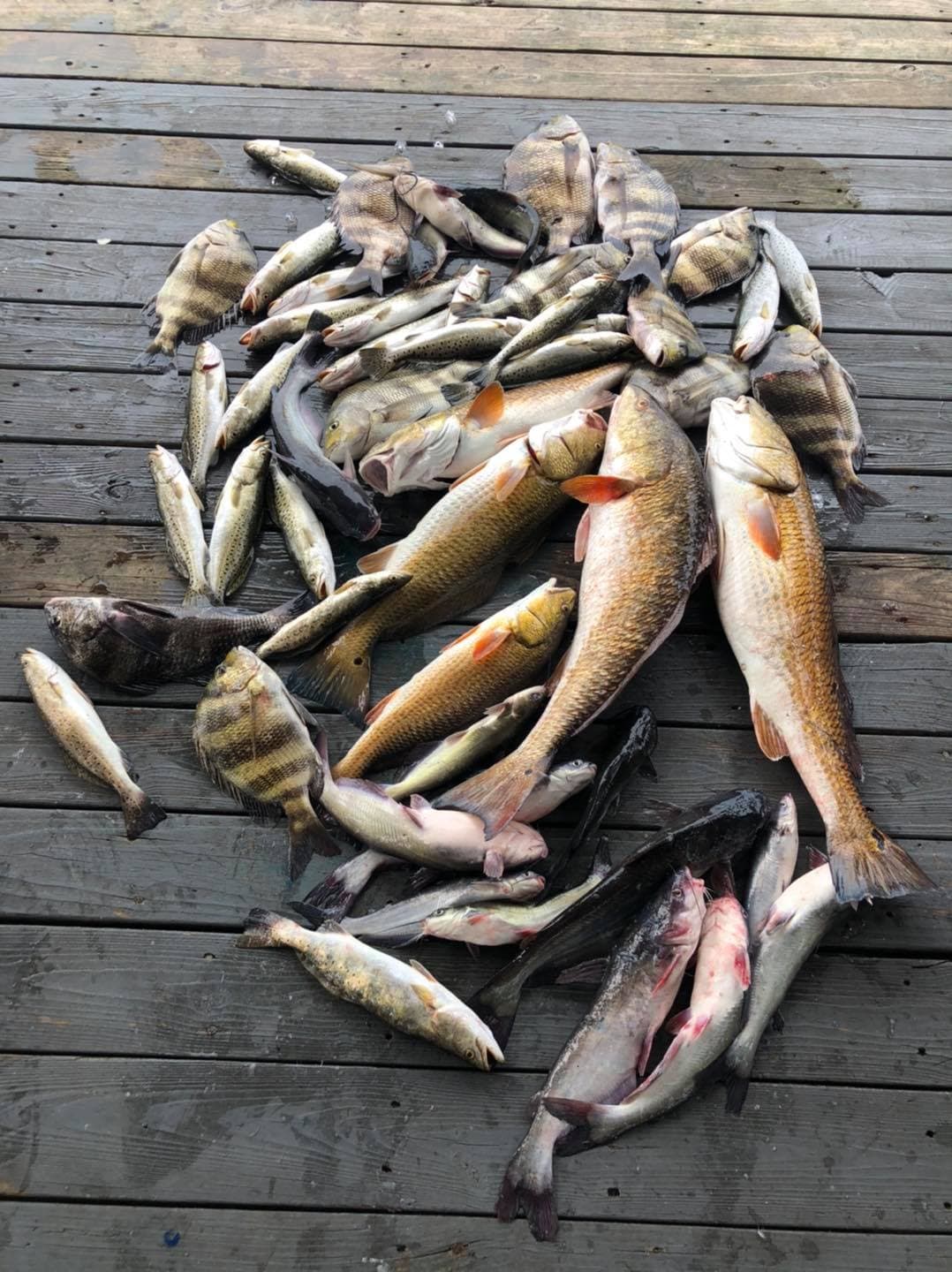 Lafitte Fish-Inn
