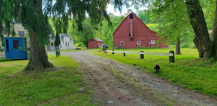 The Big Valley Lodge