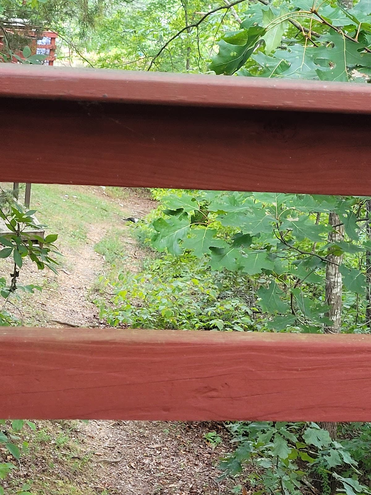 Cabin 48 at Shenandoah Crossing
