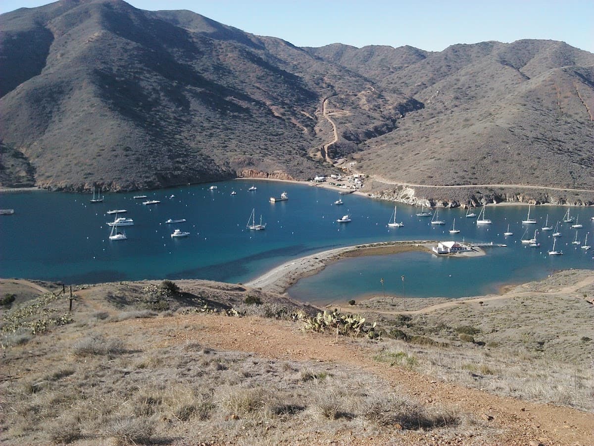 Catalina Harbor
